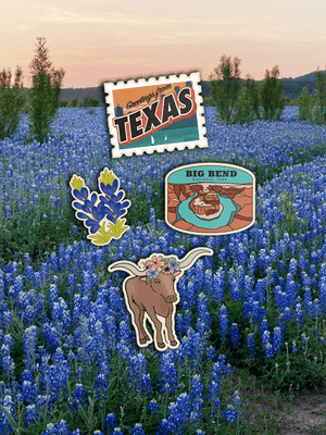 Texas State Sticker Pack